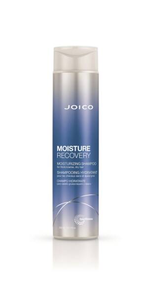 Joico Moisture Recovery Shampoo [300ml]