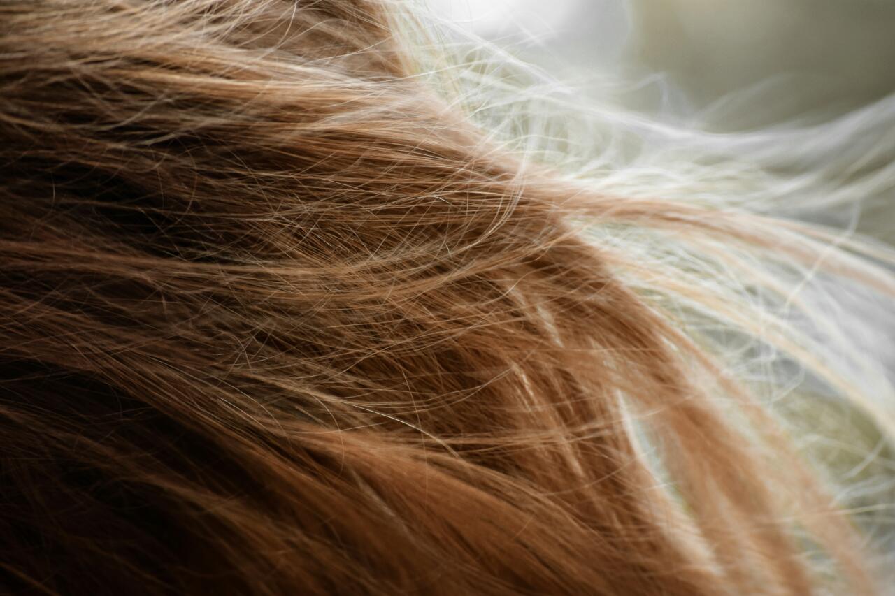 Close up of long blonde hair