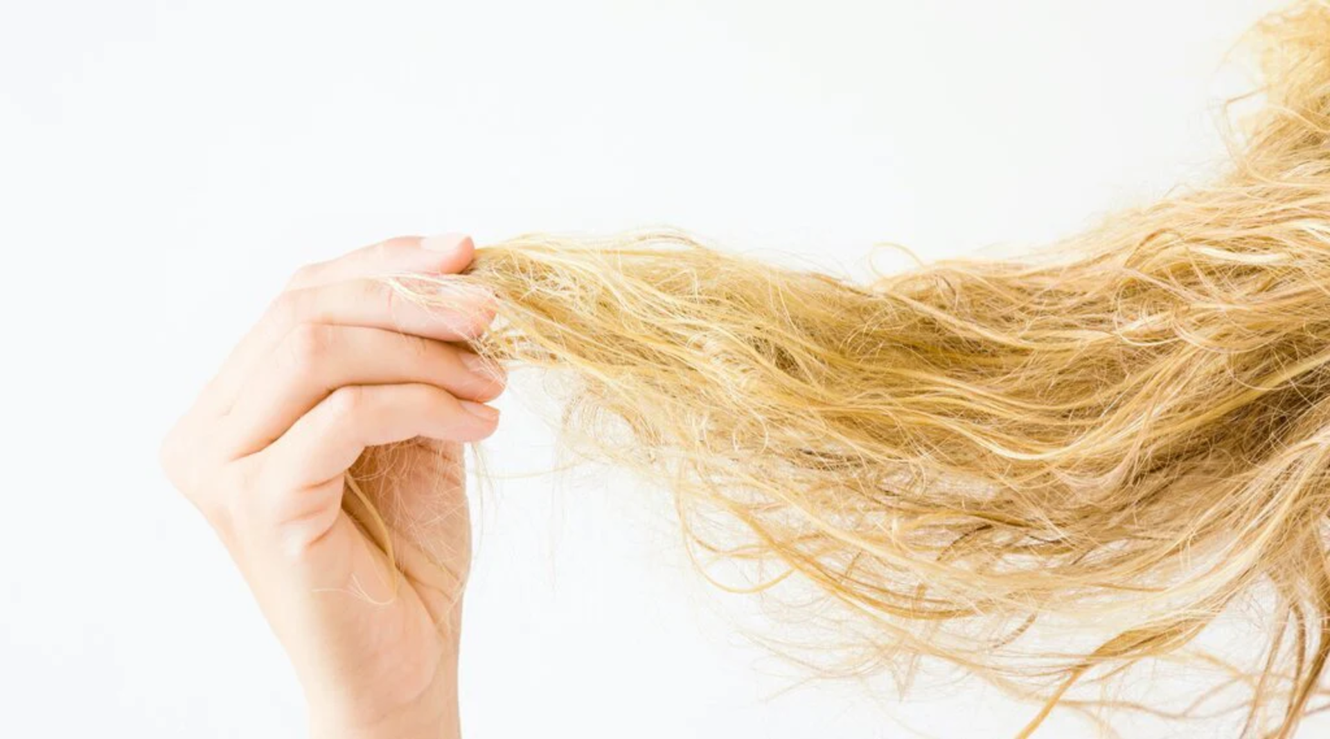 Woman holding long, tangled and damaged blonde hair